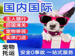 长沙机场邮寄国际宠物托运 【国